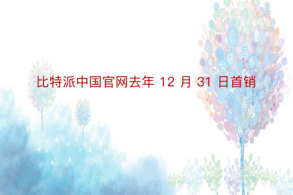 比特派中国官网去年 12 月 31 日首销
