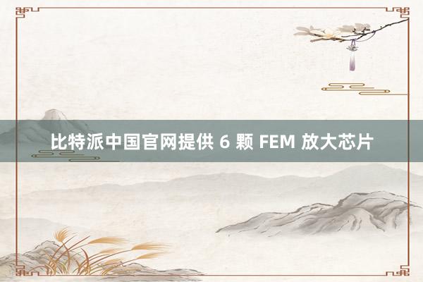 比特派中国官网提供 6 颗 FEM 放大芯片