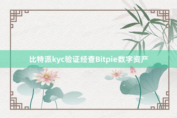 比特派kyc验证经查Bitpie数字资产