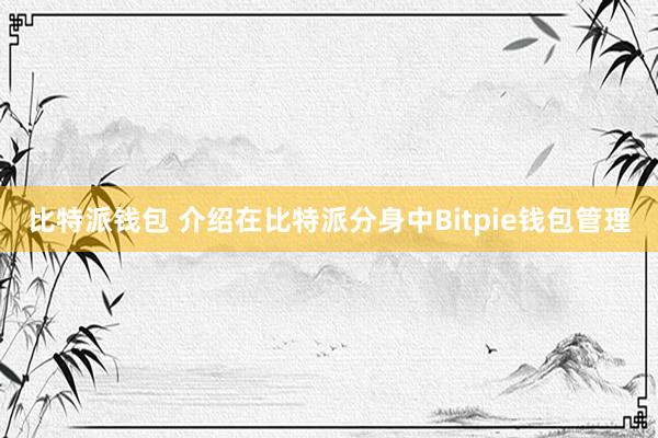 比特派钱包 介绍在比特派分身中Bitpie钱包管理