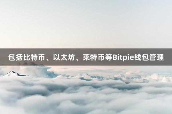 包括比特币、以太坊、莱特币等Bitpie钱包管理