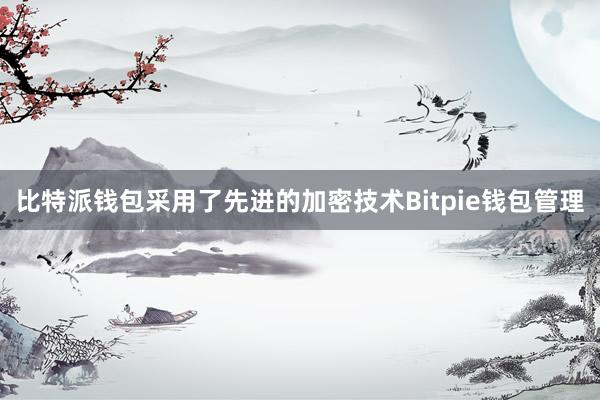 比特派钱包采用了先进的加密技术Bitpie钱包管理