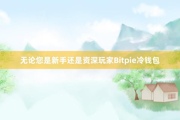 无论您是新手还是资深玩家Bitpie冷钱包