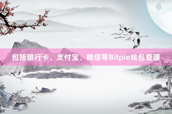 包括银行卡、支付宝、微信等Bitpie钱包管理