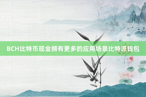 BCH比特币现金拥有更多的应用场景比特派钱包