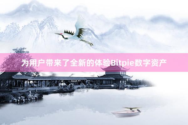 为用户带来了全新的体验Bitpie数字资产