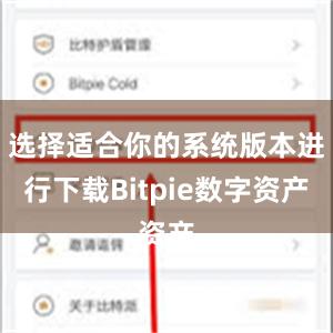 选择适合你的系统版本进行下载Bitpie数字资产