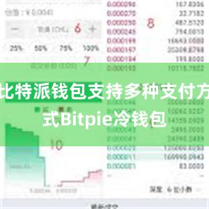 比特派钱包支持多种支付方式Bitpie冷钱包