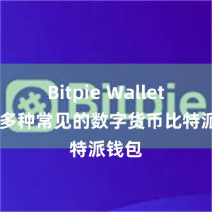 Bitpie Wallet 支持多种常见的数字货币比特派钱包