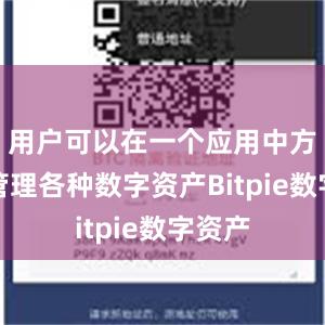 用户可以在一个应用中方便地管理各种数字资产Bitpie数字资产