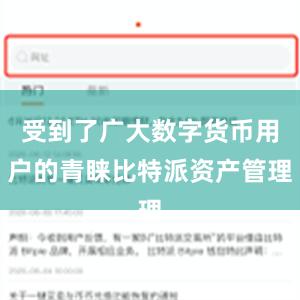 受到了广大数字货币用户的青睐比特派资产管理
