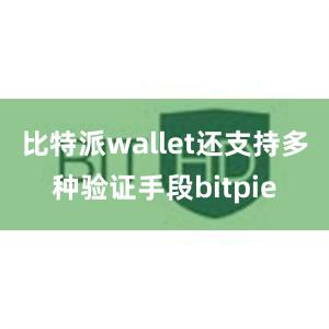 比特派wallet还支持多种验证手段bitpie