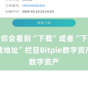 你会看到“下载”或者“下载地址”栏目Bitpie数字资产