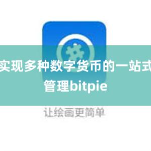 实现多种数字货币的一站式管理bitpie